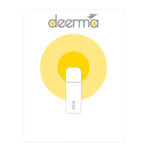 Tasse à Eau Chaude Électrique Deerma DR035S