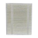 Filtre HEPA pour Roidmi EVE CC
