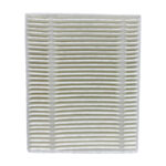 Filtre HEPA pour Roidmi EVE CC
