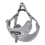 Ensemble pour chien Dogness harnais et laisse (Gris clair)