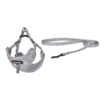 Ensemble pour chien Dogness harnais et laisse (Gris clair)