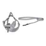Ensemble pour chien Dogness harnais et laisse (Gris clair)