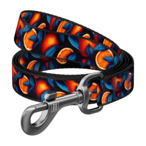 Laisse en nylon, motif ''Oranges'' longueur 122 cm Waudog - Ypsilon Computers