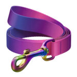 WAUDOG laisse pour chien en nylon dégradé, 15mm de large, 122cm de long, violet