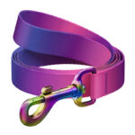 WAUDOG laisse pour chien en nylon dégradé, 15mm de large, 122cm de long, violet