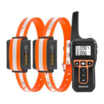 Rojeco PD5291000m Collier de Dressage pour Chien avec 2 Colliers