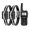 Rojeco PD529 Collier de Dressage pour Chien 1000m avec 2 Colliers (noir) - Ypsilon Computers