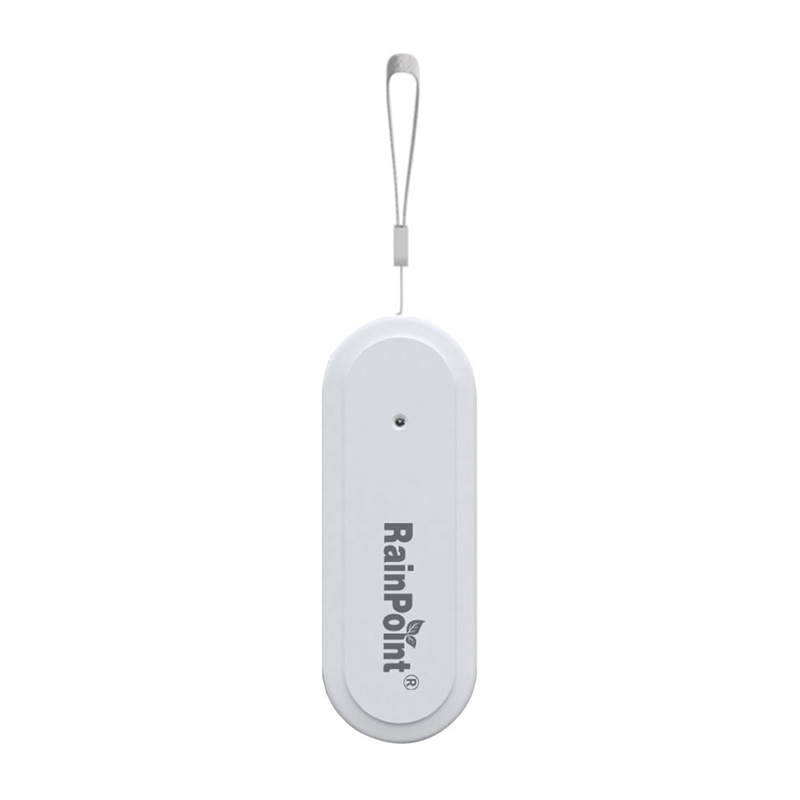 Rainpoint Smart+ Thermohygromètre Intelligent - Ypsilon Computers