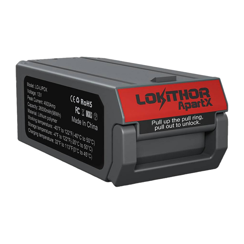 ApartX LO-LIPOX Batterie 4000mAh 98Wh - Ypsilon Computers