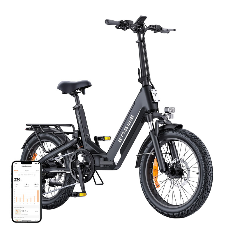 ENGWE L20 3.0 BOOST 250W 20" Electric Bike (Black) - Ypsilon Computers