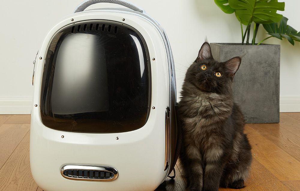 Sac à dos de voyage pour animaux PetKit Breezy 2 (Blanc Crème) - Ypsilon Computers