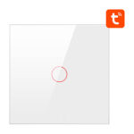 Interrupteur Intelligent ZigBee Avatto ZTS02-EU-W1 1 Voie TUYA (blanc)