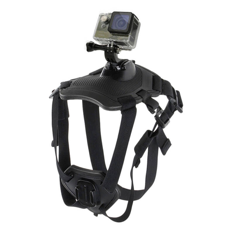 Harnais de poitrine PULUZ pour caméras d'action (GoPro, Insta360, DJI Action, etc.) - Ypsilon Computers