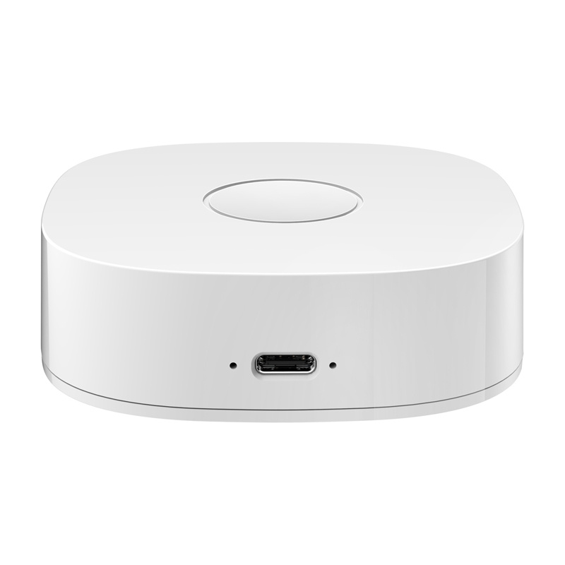 Maison intelligente WS2GW-R WiFi - Ypsilon Computers