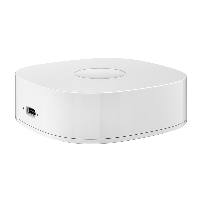 Maison intelligente WS2GW-R WiFi - Ypsilon Computers