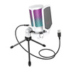 Microphone de jeu à condensateur Fifine A6VW (blanc) - Ypsilon Computers