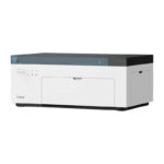 Imprimante photo portable Liene Amber M100 10×15 cm