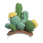 Costume en tricot pour Loona Premium Cactus