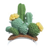 Costume en tricot pour Loona Premium Cactus - Ypsilon Computers