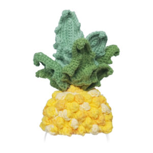 Costume en tricot pour Loona Premium Ananas