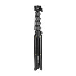 NEEWER TS03N Trépied Universel de 167 cm pour Smartphones et Appareils Photo