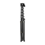 NEEWER TS03N Trépied Universel de 167 cm pour Smartphones et Appareils Photo
